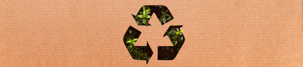 Diferencias entre embalaje biodegradable y compostable